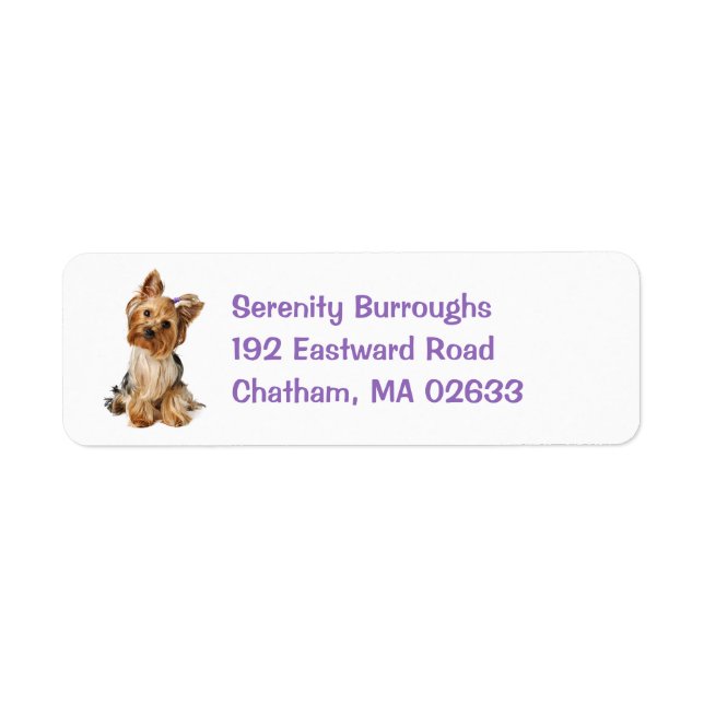 Yorkshire Terrier Puppy Dog Cute Yorkie (Front)