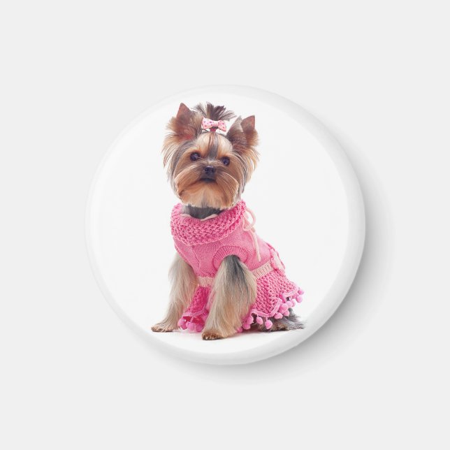 Yorkshire Terrier Puppy Dog in a Pink Dress Magnet (Front)