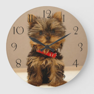 Yorkshire Terrier Puppy Dog Large Clock