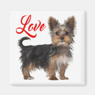 Yorkshire Terrier Puppy Dog Red Love Magnet