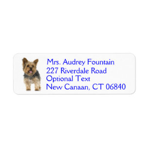 Yorkshire Terrier Puppy Dog Return Adresse Label