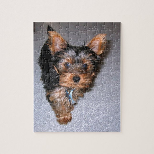 yorkshire terrier puppy jigsaw puzzle (Vertical)