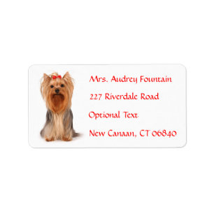 Yorkshire Terrier Puppy Nom Adresse Étiquette