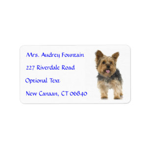 Yorkshire Terrier Puppy Nom Adresse Étiquette