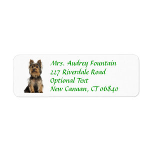Yorkshire Terrier Puppy Return Adresse Label