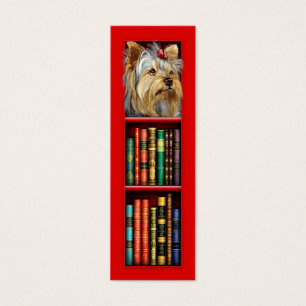 Yorkshire Terrier Signet rouge