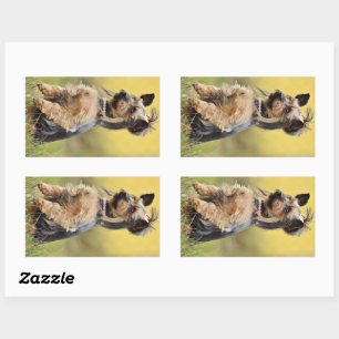yorkshire-terrier-sitting up sticker