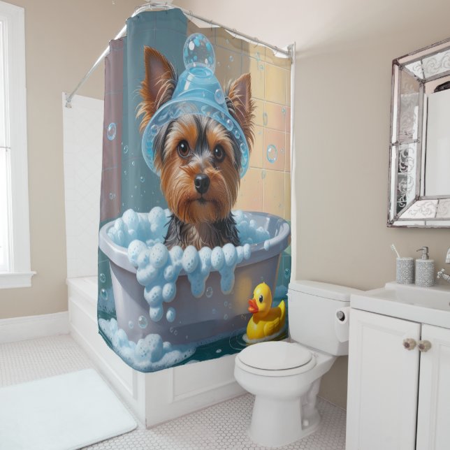 Yorkshire Terrier Sloppy Sleepy Cute Funny (In Situ)