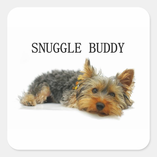 yorkshire-terrier snuggle buddy square sticker (Front)