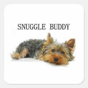 yorkshire-terrier snuggle buddy square sticker