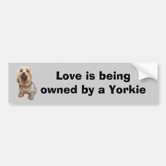 Yorkshire Terrier So Cute Bumper Sticker (Front)