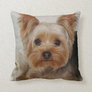 Yorkshire Terrier Throw Pillow