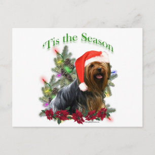 Yorkshire Terrier ‘Tis Postcard