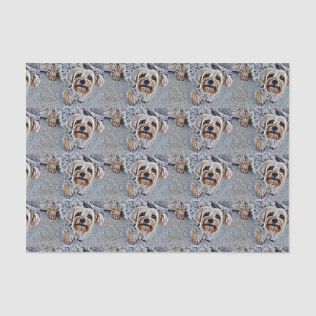 Yorkshire Terrier Tissue Paper (Front)