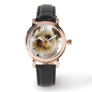 Yorkshire Terrier Watch