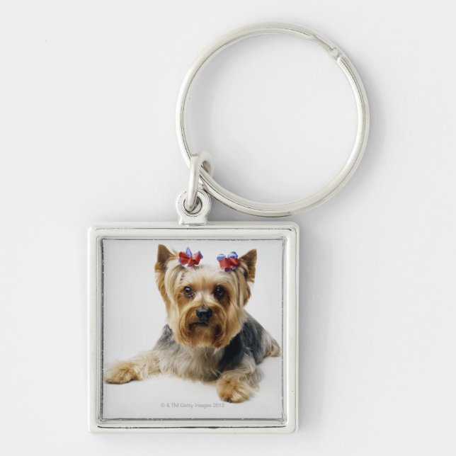 Yorkshire terrier wearing red bows keychain (Front)