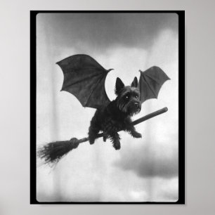 Yorkshire Terrier Witch Broom Bat Wings Spooky Poster