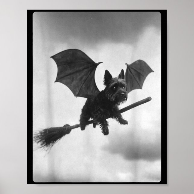 Yorkshire Terrier Witch Broom Bat Wings Spooky Poster (Front)