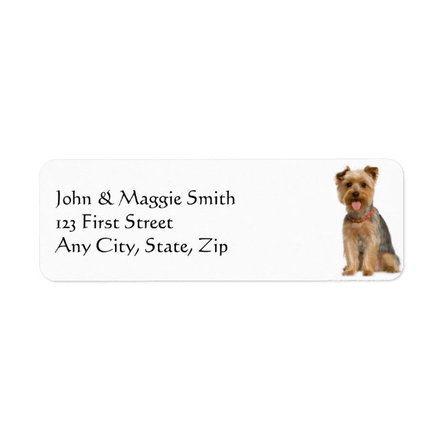 Yorkshire Terrier Yorkie Dog Pet Animal (Front)