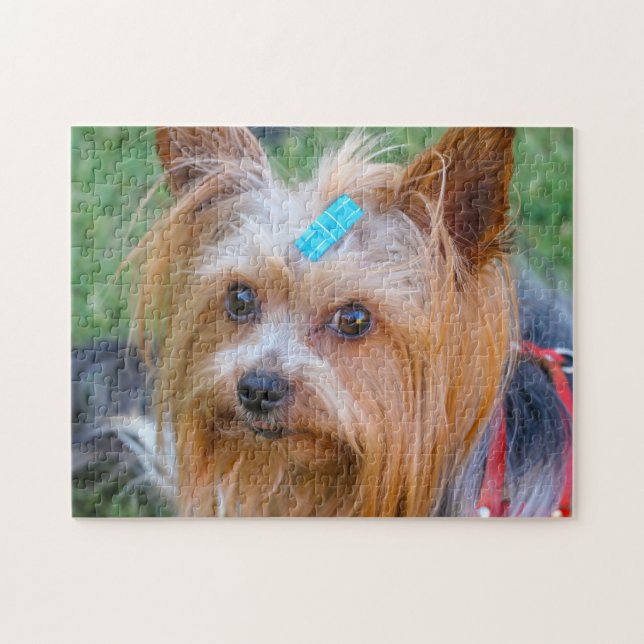 Yorkshire Terrier Yorkie Favourite Breed Jigsaw Puzzle (Horizontal)