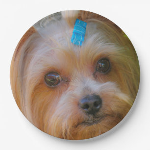 Yorkshire Terrier Yorkie Favourite Breed Paper Plate