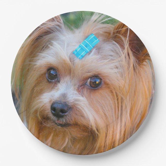 Yorkshire Terrier Yorkie Favourite Breed Paper Plate (Front)