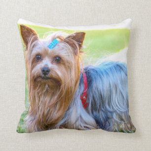 Yorkshire Terrier Yorkie Favourite Breed Throw Pillow