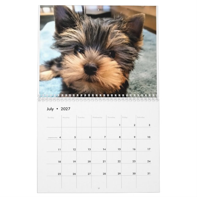 Yorkshire Terrier Yorkies  2022 Calendar (Jul 2027)