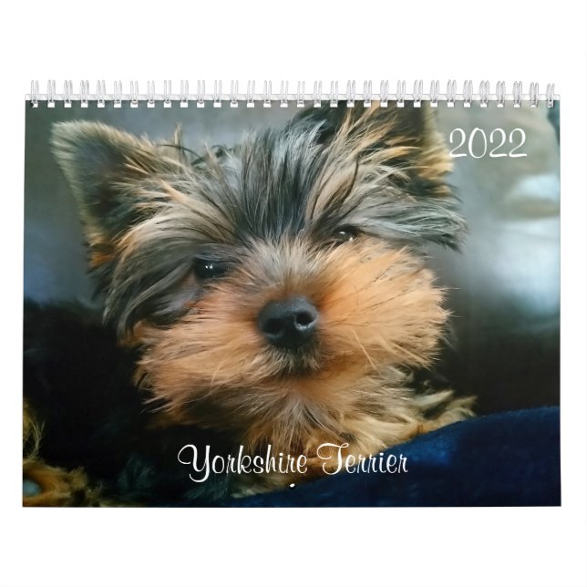 Yorkshire Terrier Yorkies  2022 Calendar (Cover)