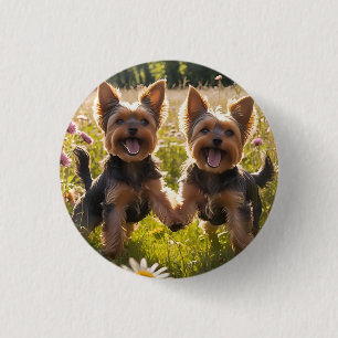 Yorkshire Terriers Playing in the Grass 1 Inch Round Button