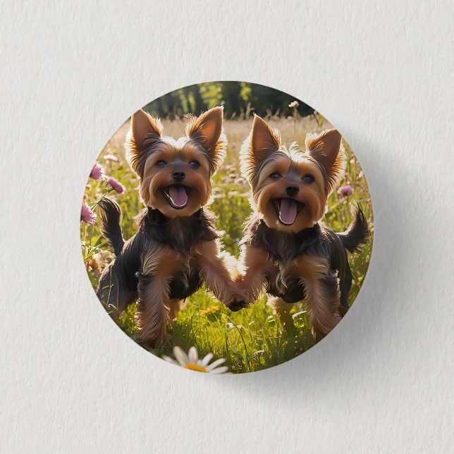 Yorkshire Terriers Playing in the Grass 1 Inch Round Button (Front)