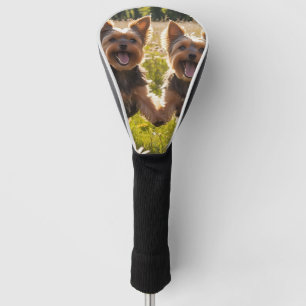 Yorkshire Terriers Playing in the Grass Golf Head Cover