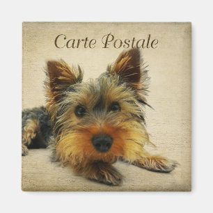 Yorkshire Vintage Postcard Magnet