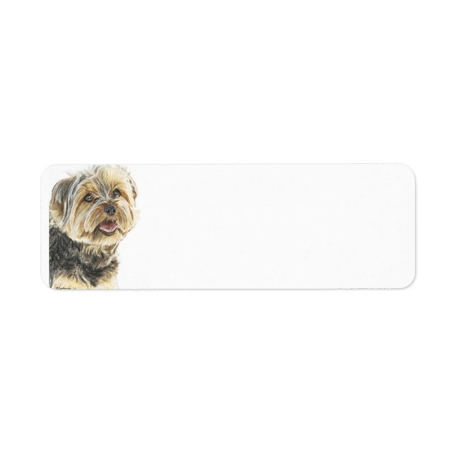 YorkshireTerrier.jpg (Devant)