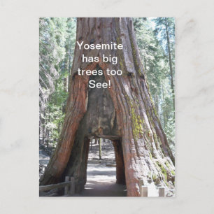 Yosemite a de gros arbres trop carte postale