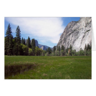 Yosemite au printemps : Vue de prairie