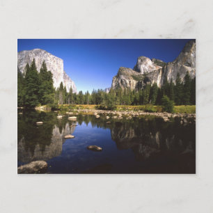 Yosemite California Postcard