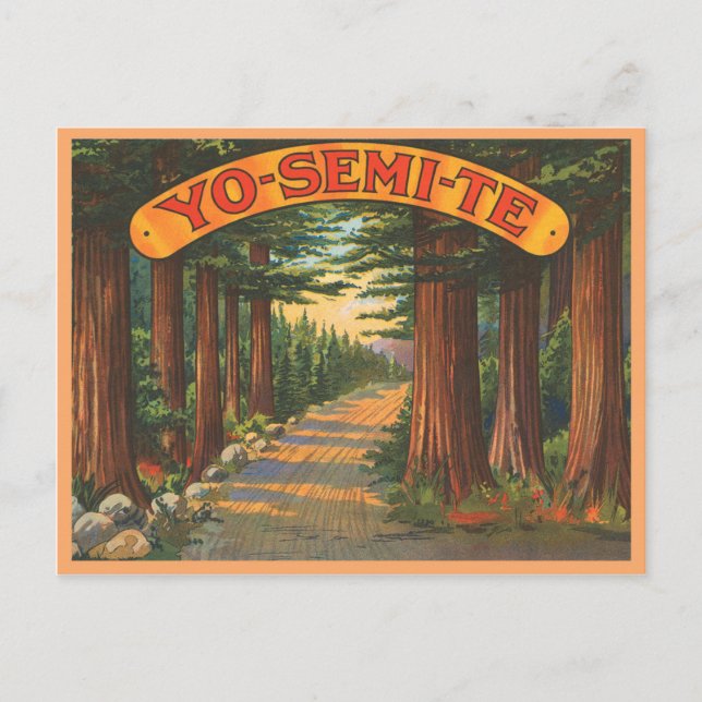 Yosemite California vintage scene Postcard (Front)
