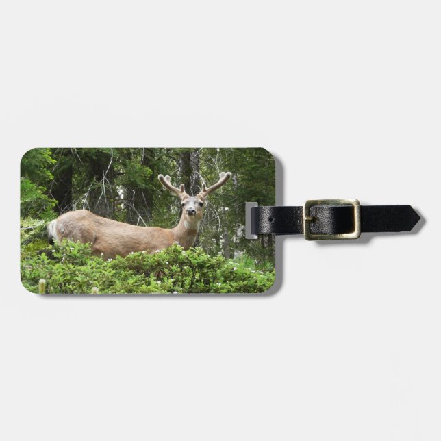 Yosemite Deer Nature Photography Luggage Tag (Front Horizontal)