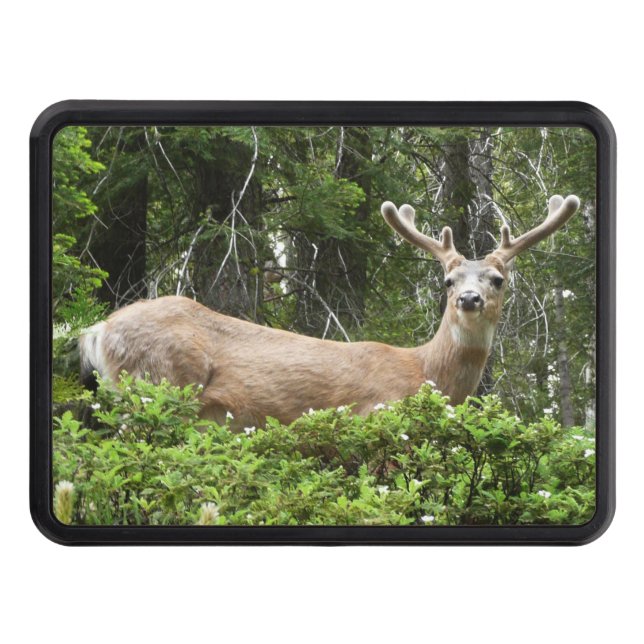 Yosemite Deer Nature Photography Trailer Hitch Cover (Front)