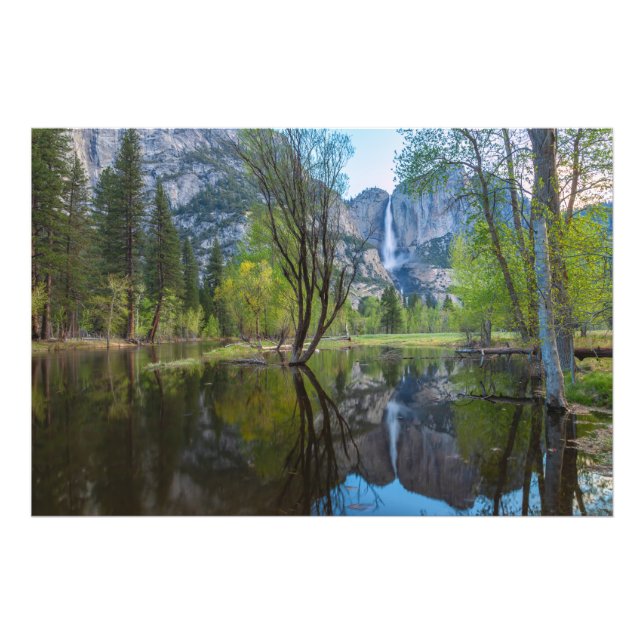 Yosemite Falls Photo Print (Front)
