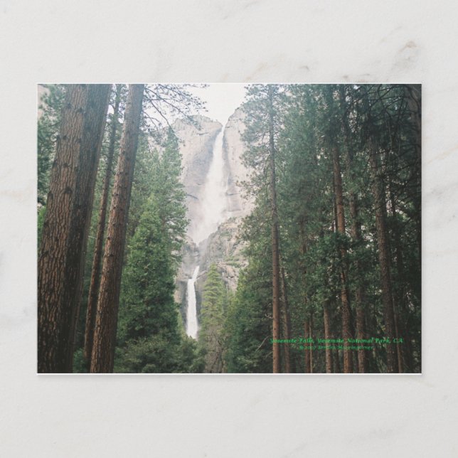 Yosemite Falls Postcards (Front)