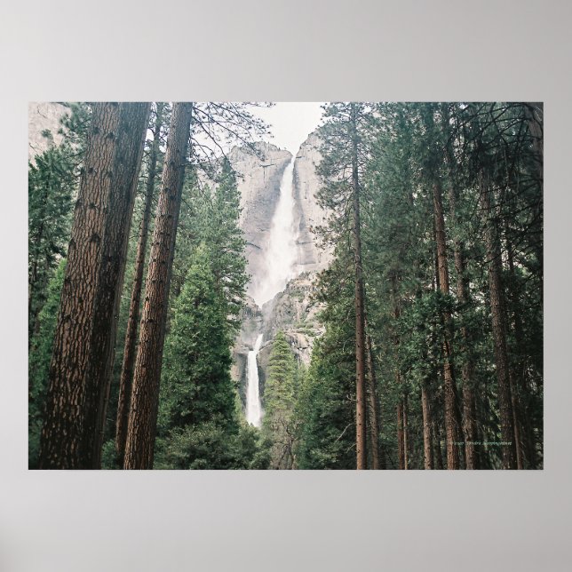 Yosemite Falls Print (Front)