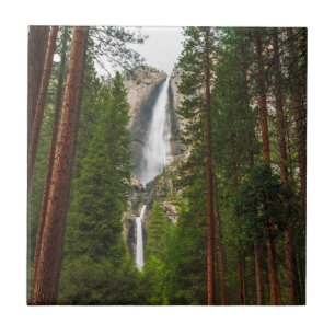 Yosemite Falls through the Forest Tile