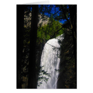 yosemite falls through trees