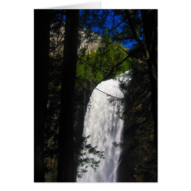 yosemite falls through trees (Front)
