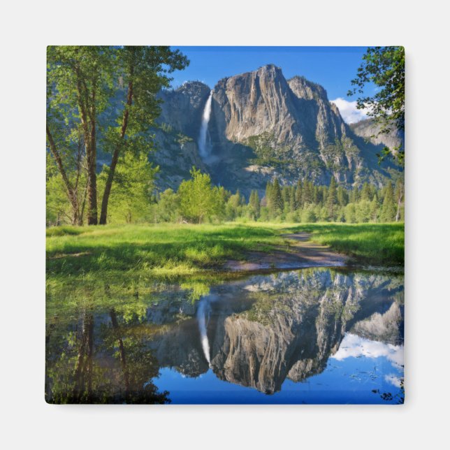 Yosemite Falls | Yosemite National Park Magnet (Front)