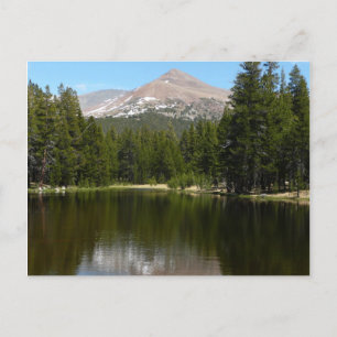 Yosemite Lake Reflection Postcard