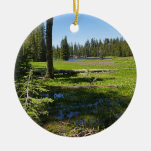Yosemite Meadow with Shooting Stars Ceramic Ornament