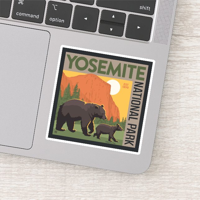Yosemite National Park | Bear Family (Detail)
